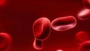 Range hemoglobin normal How to