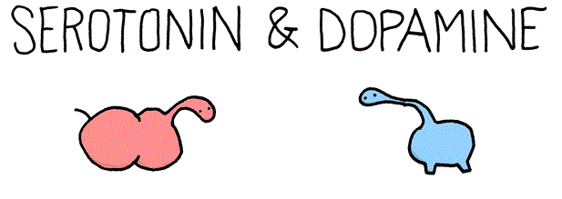 Serotonin Vs Dopamine