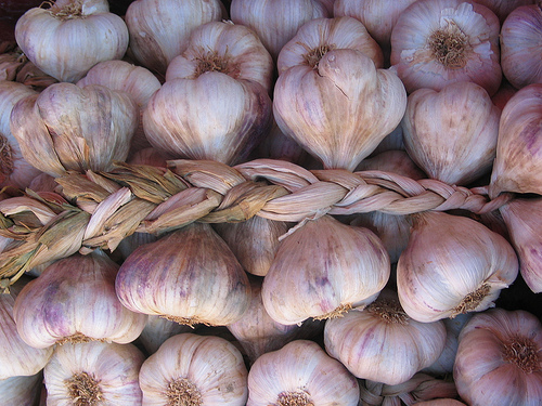 Garlic Robe